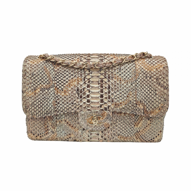 chaneldoublepython-01sat.jpg
